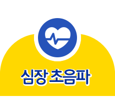 심장초음파